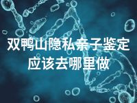 双鸭山隐私亲子鉴定应该去哪里做