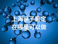 上海亲子鉴定在哪里可以做