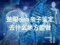 益阳dna亲子鉴定去什么地方能做