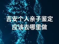 吉安个人亲子鉴定应该去哪里做