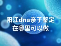 阳江dna亲子鉴定在哪里可以做