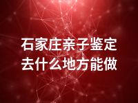 石家庄亲子鉴定去什么地方能做