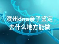 滨州dna亲子鉴定去什么地方能做