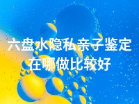 六盘水隐私亲子鉴定在哪做比较好