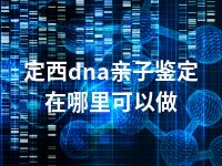 定西dna亲子鉴定在哪里可以做