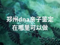 郑州dna亲子鉴定在哪里可以做