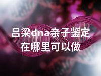 吕梁dna亲子鉴定在哪里可以做