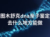 图木舒克dna亲子鉴定去什么地方能做