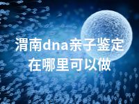 渭南dna亲子鉴定在哪里可以做