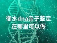 衡水dna亲子鉴定在哪里可以做