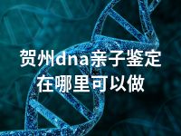 贺州dna亲子鉴定在哪里可以做