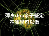 萍乡dna亲子鉴定在哪里可以做