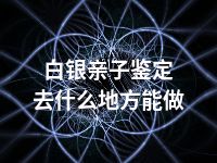 白银亲子鉴定去什么地方能做