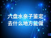 六盘水亲子鉴定去什么地方能做