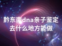 黔东南dna亲子鉴定去什么地方能做