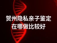 贺州隐私亲子鉴定在哪做比较好