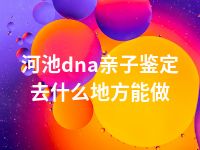 河池dna亲子鉴定去什么地方能做