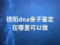 德阳dna亲子鉴定在哪里可以做