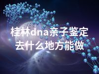 桂林dna亲子鉴定去什么地方能做