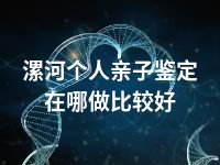 漯河个人亲子鉴定在哪做比较好