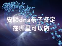 安顺dna亲子鉴定在哪里可以做