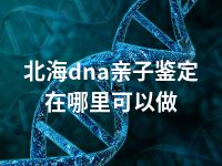 北海dna亲子鉴定在哪里可以做