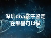 深圳dna亲子鉴定在哪里可以做