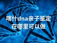 喀什dna亲子鉴定在哪里可以做