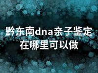 黔东南dna亲子鉴定在哪里可以做