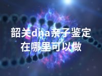 韶关dna亲子鉴定在哪里可以做