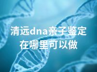 清远dna亲子鉴定在哪里可以做