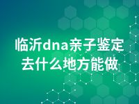 临沂dna亲子鉴定去什么地方能做