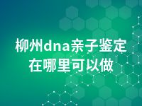 柳州dna亲子鉴定在哪里可以做