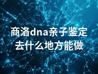 商洛dna亲子鉴定去什么地方能做