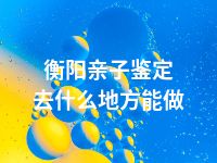 衡阳亲子鉴定去什么地方能做