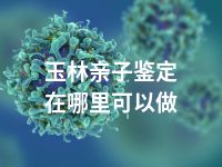 玉林亲子鉴定在哪里可以做