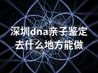 深圳dna亲子鉴定去什么地方能做