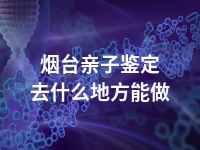 烟台亲子鉴定去什么地方能做