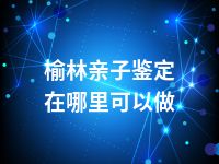 榆林亲子鉴定在哪里可以做