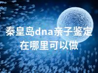 秦皇岛dna亲子鉴定在哪里可以做