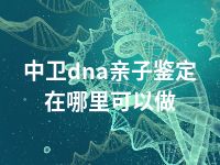 中卫dna亲子鉴定在哪里可以做