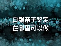 白银亲子鉴定在哪里可以做