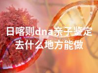 日喀则dna亲子鉴定去什么地方能做