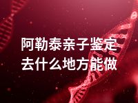 阿勒泰亲子鉴定去什么地方能做