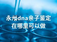 永州dna亲子鉴定在哪里可以做