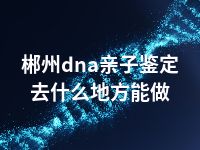 郴州dna亲子鉴定去什么地方能做