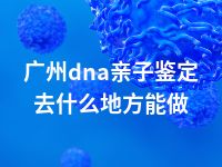 广州dna亲子鉴定去什么地方能做