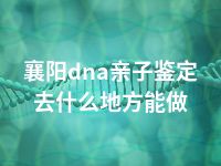 襄阳dna亲子鉴定去什么地方能做