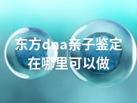 东方dna亲子鉴定在哪里可以做