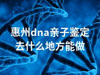 惠州dna亲子鉴定去什么地方能做